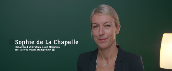 The Wealth Story of Sophie de la Chapelle