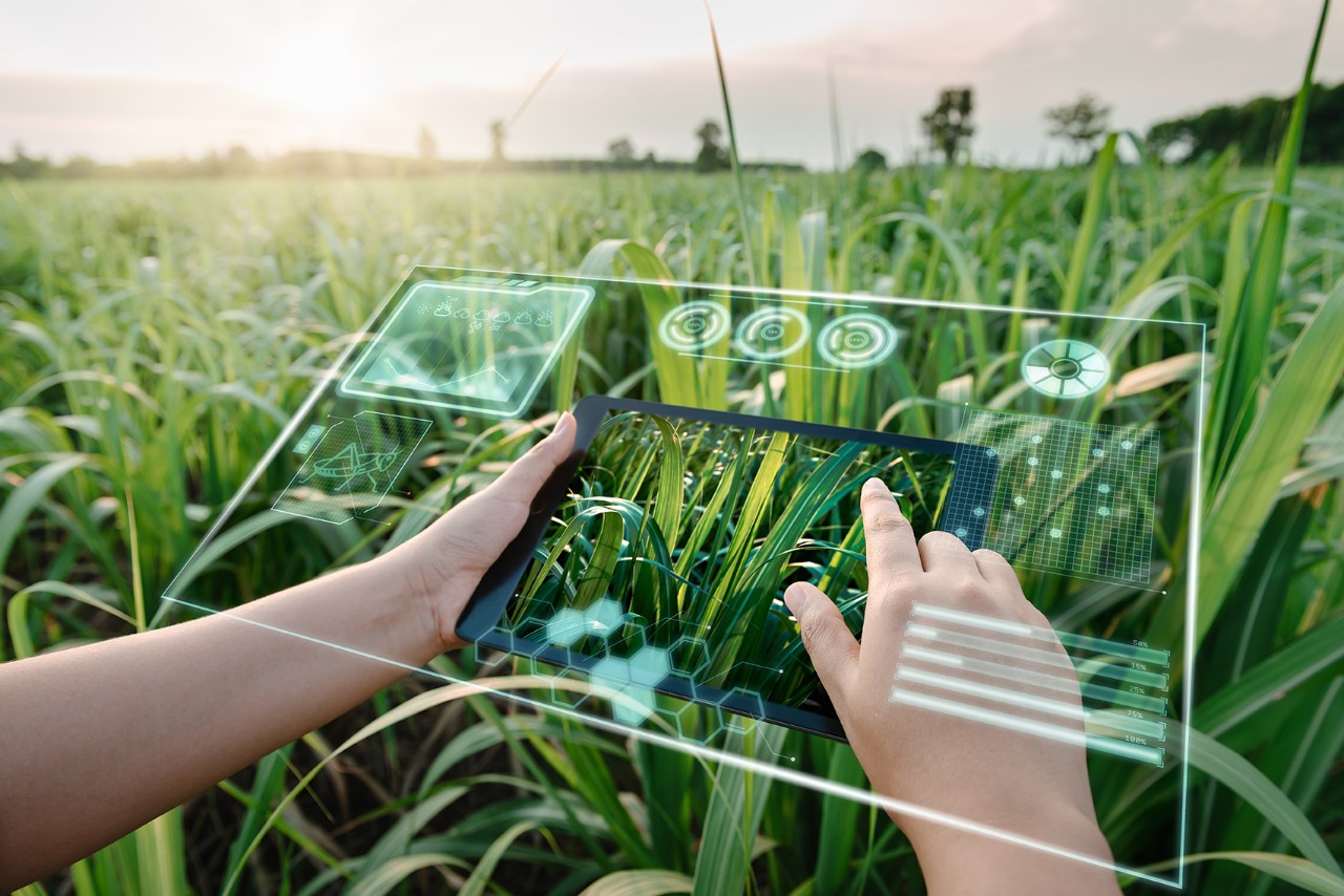 Field virtual dashboard Field virtual dashboard