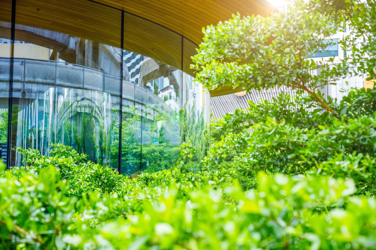 Eco-friendly modern building surrounded with trees