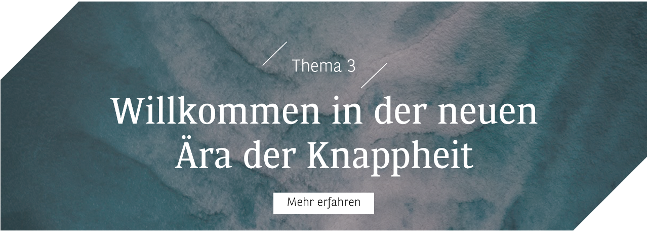 theme3