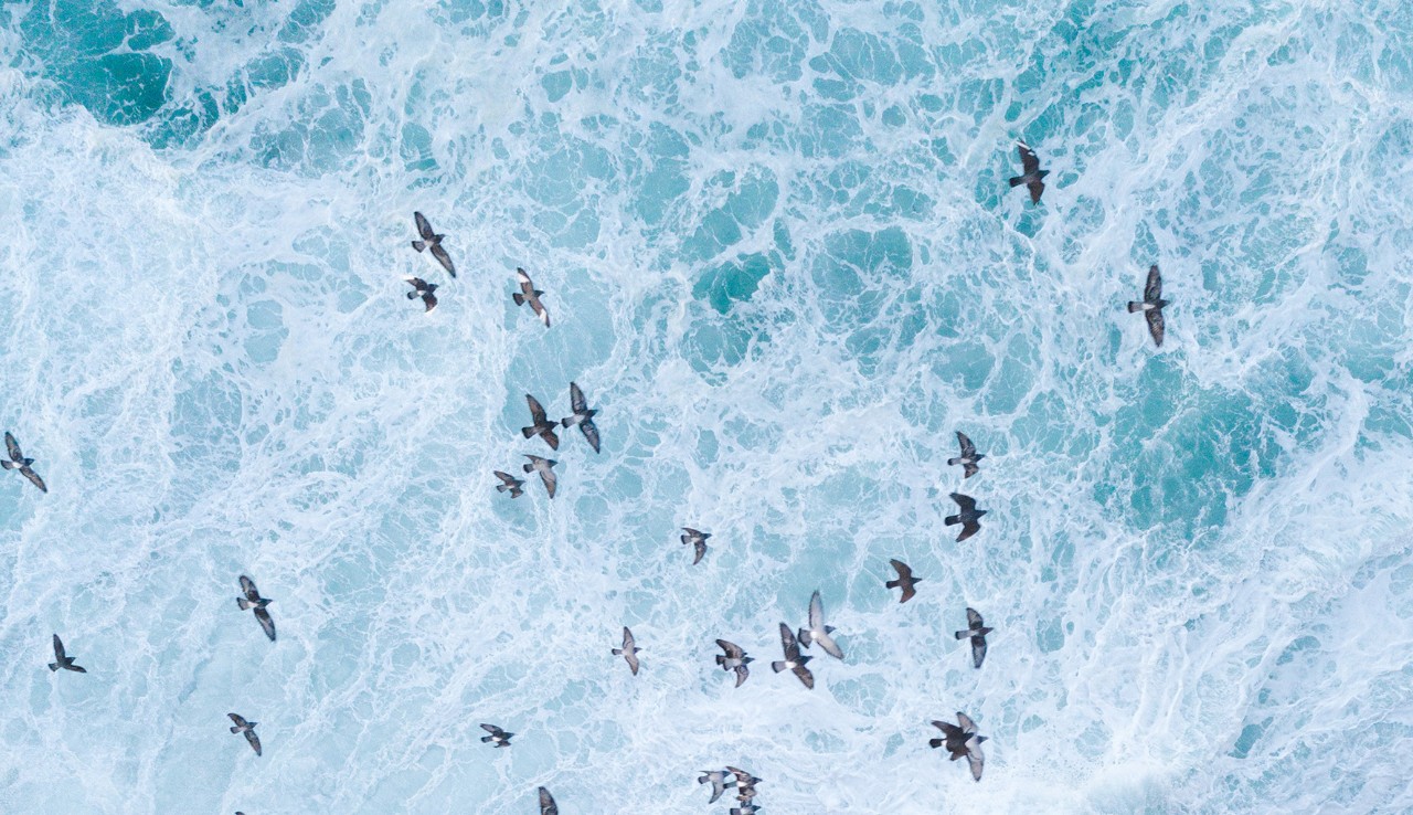 Photo taken in Bronte, Australia