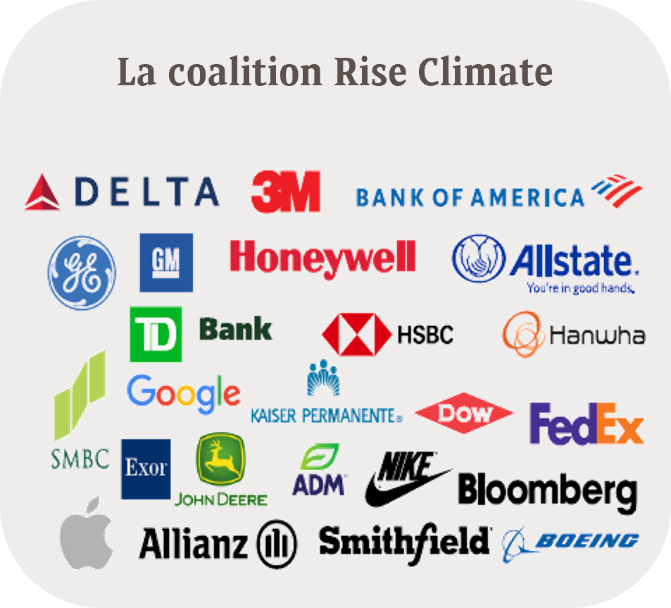 TPG-la-coalition-rise-climate