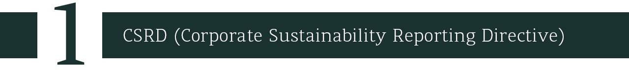 CSRD (Corporate Sustainability Reporting Directive)