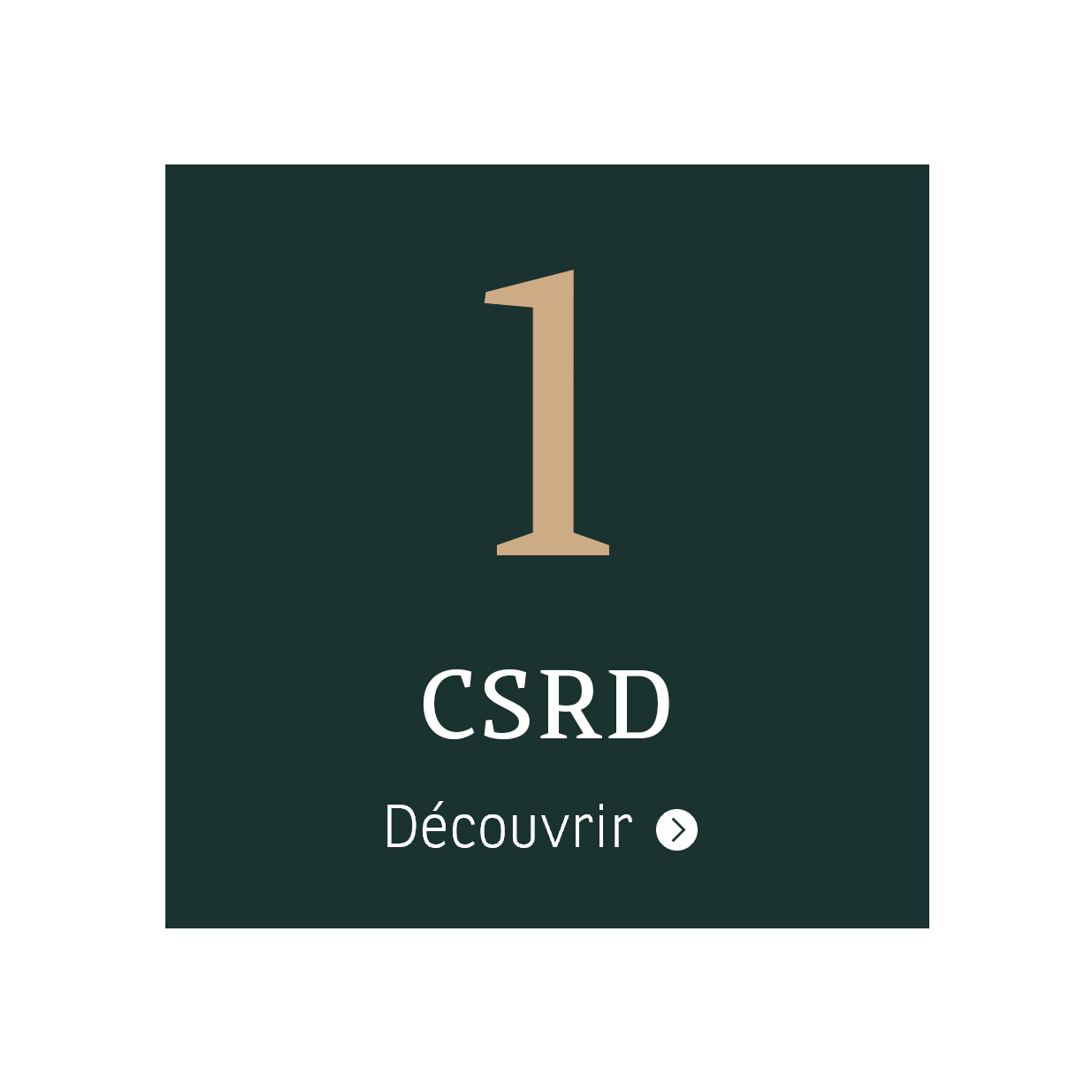 CSRD (Corporate Sustainability Reporting Directive)
