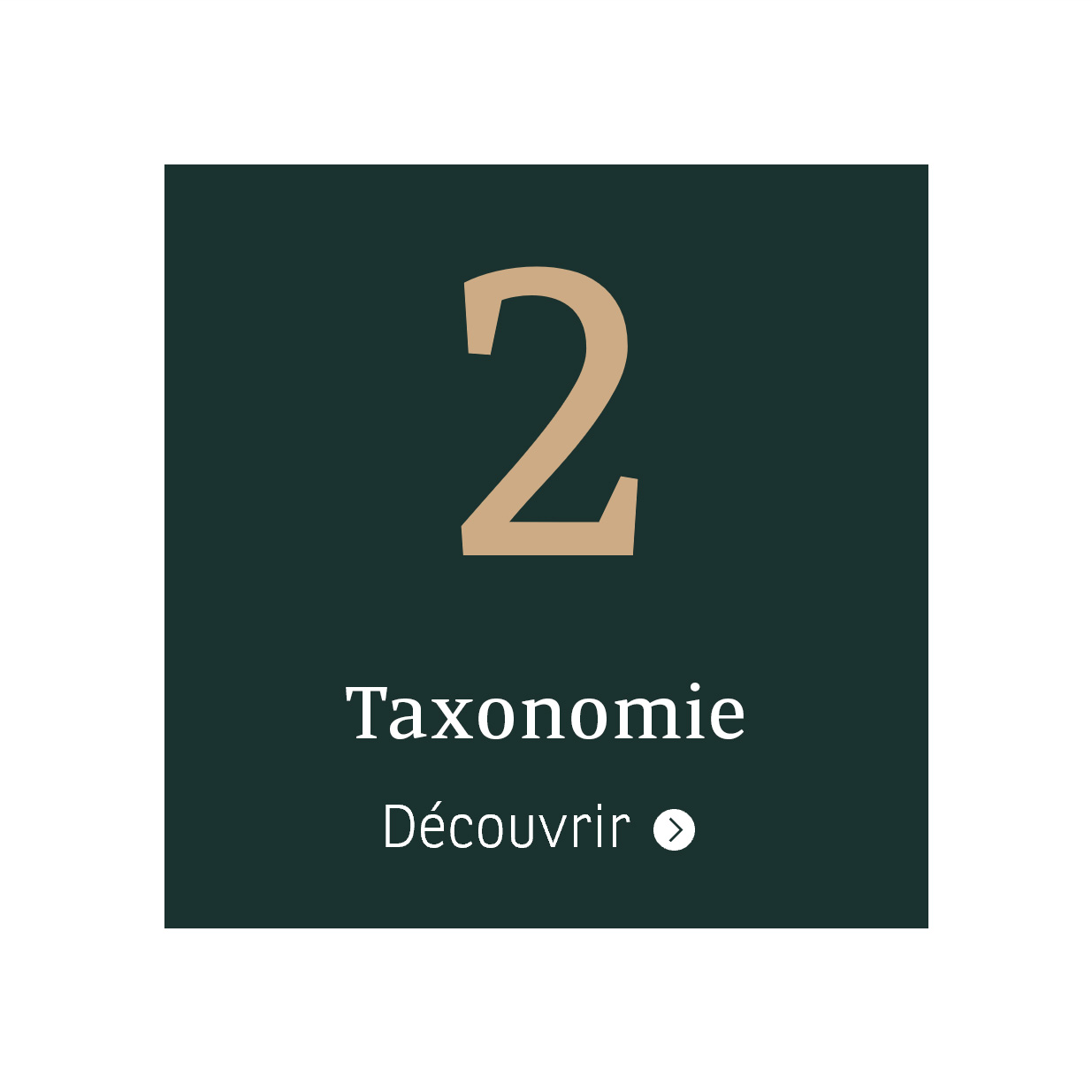Taxonomie